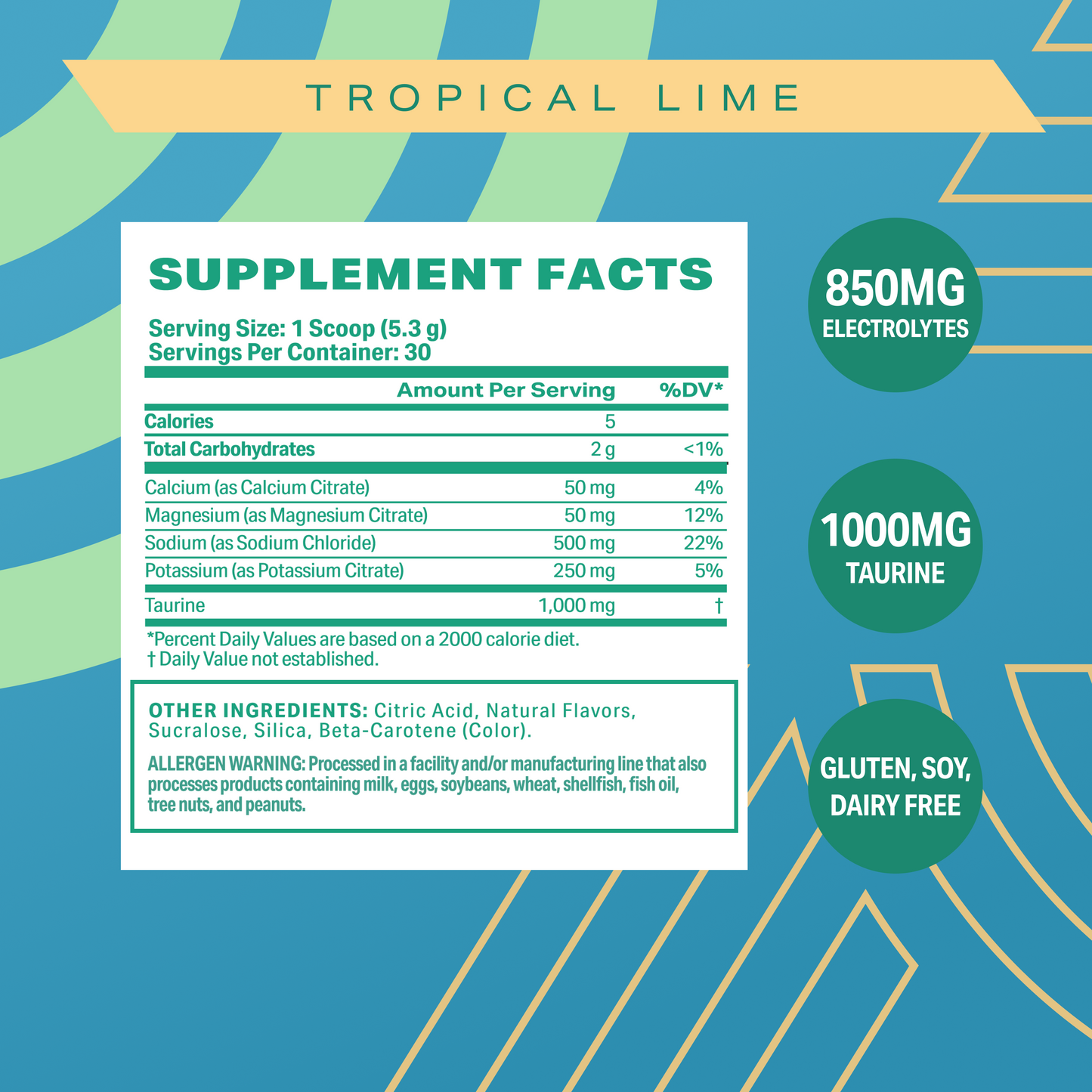 Case - Tropical Lime Salt+Electrolytes